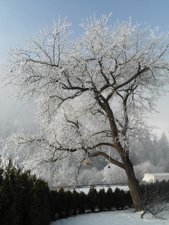Hotel Gasthof Klammstein ดอร์ฟกาชไตน์ ภายนอก รูปภาพ